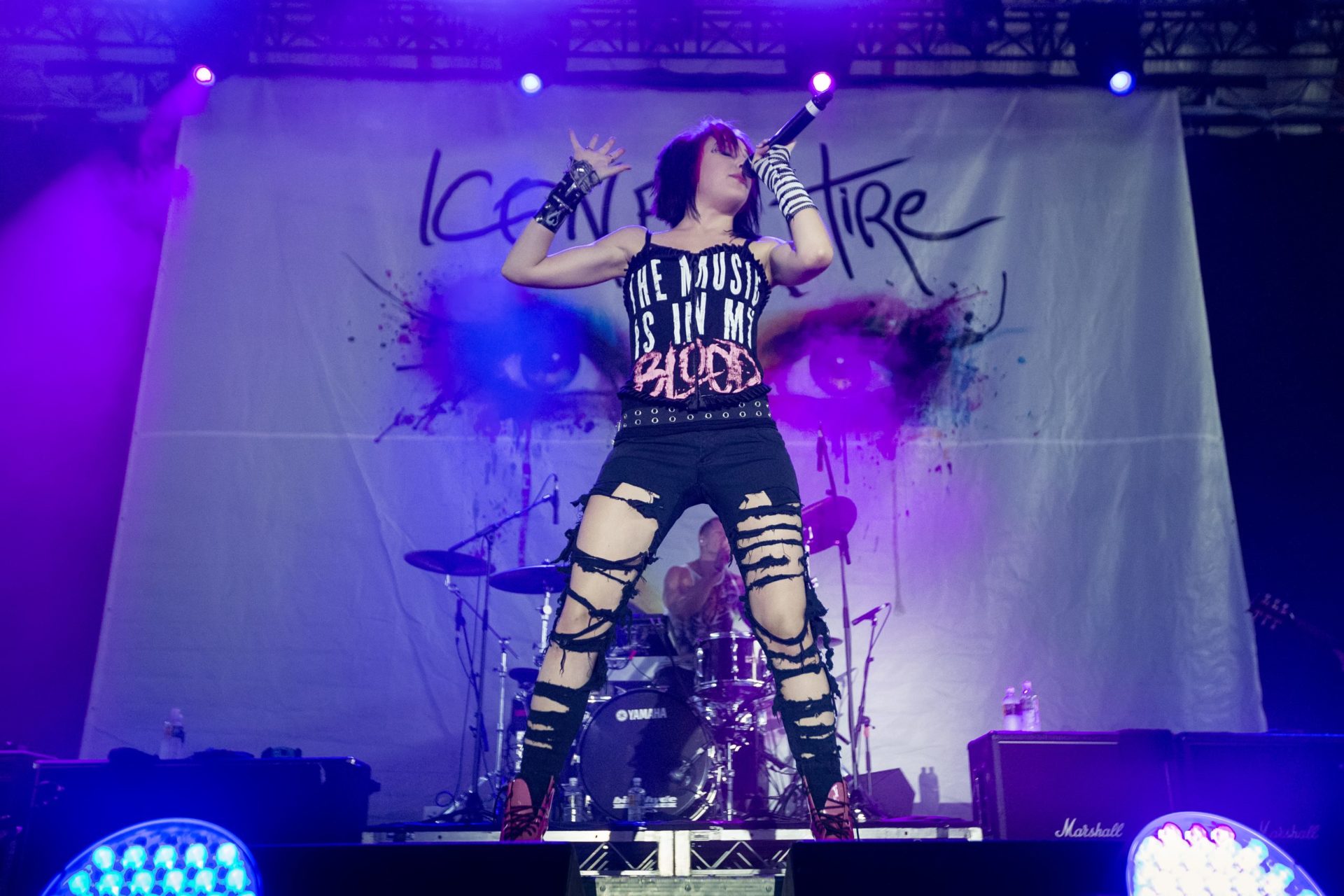 Icon For Hire @ Sydney Soundwave, February ’15