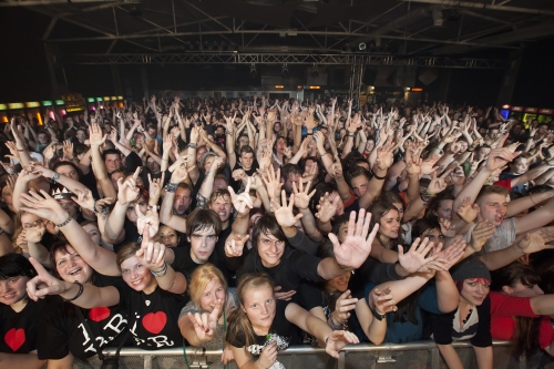 29 (1) (1) (1) (1) (1) (1) (1) (1) (1) (1) (1) (1)