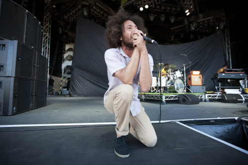 One-Day-As-A-Lion-01