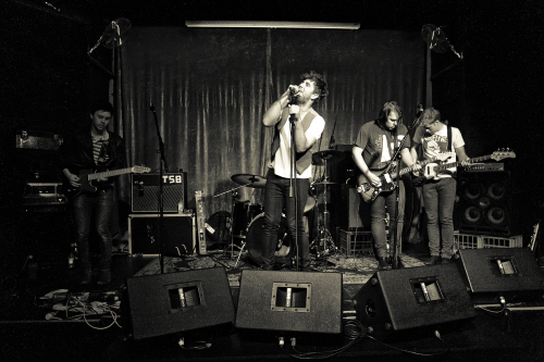 The-Shiny-Brights-02 (1) (1) (1) (1) (1) (1) (1)