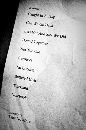 The-Shiny-Brights-11 (1) (1)