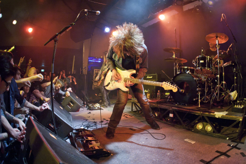 The-Vines-02 (1) (1)