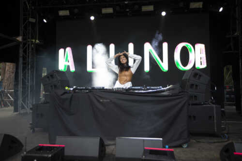 anna lunoe yours and owls 10th birthday party 24 04