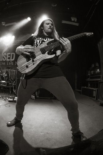 arteries the metro 11