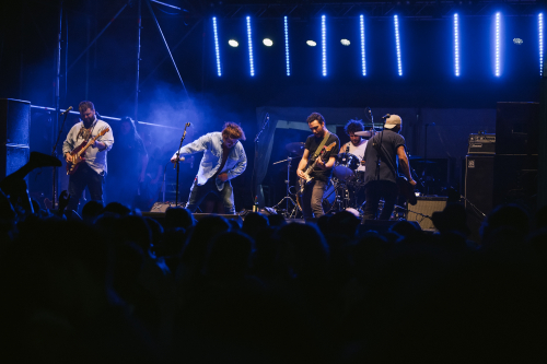 bad dreems yours and owls festival 11