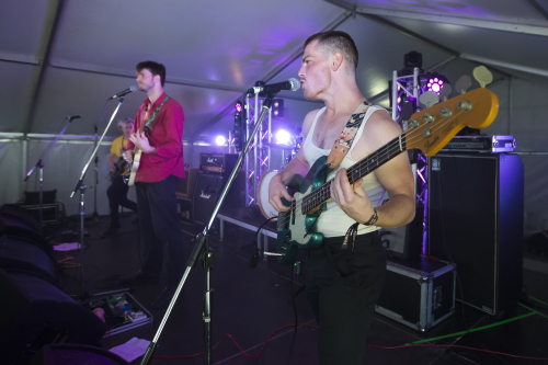 basils kite yours and owls festival 13