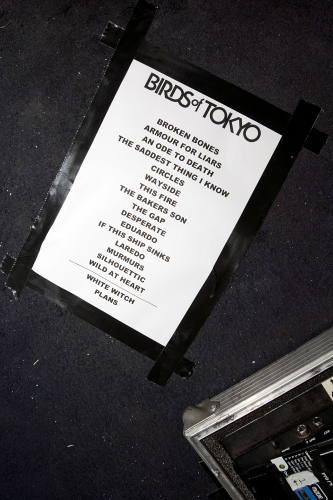 birds-of-tokyo-10