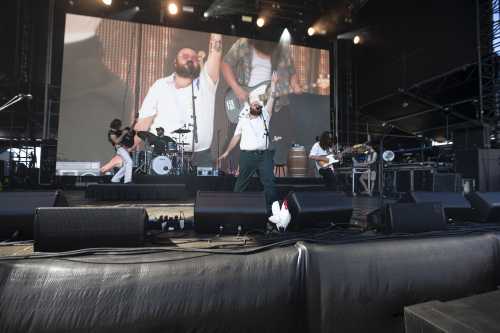 brad cox yours and owls 2025 09