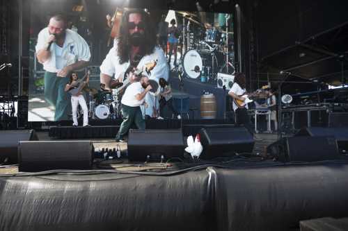 brad cox yours and owls 2025 10