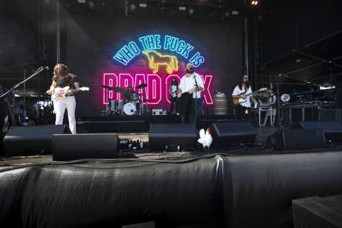 brad cox yours and owls 2025 11