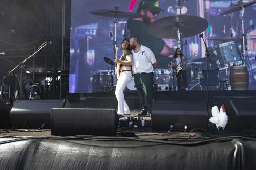 brad cox yours and owls 2025 12