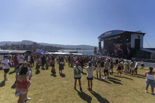 brad cox yours and owls 2025 14