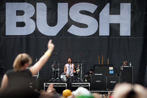 bush-09