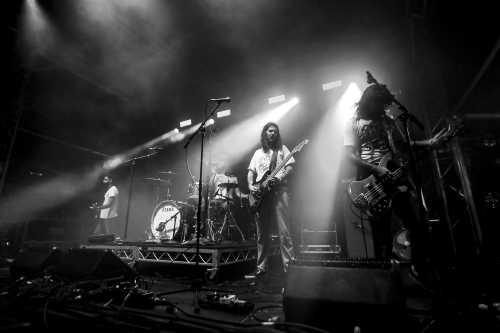 c.o.f.f.i.n yours and owls 2025 02