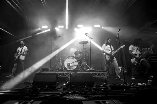 c.o.f.f.i.n yours and owls 2025 04