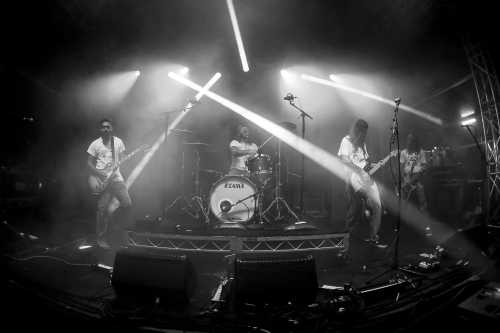 c.o.f.f.i.n yours and owls 2025 07