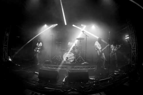 c.o.f.f.i.n yours and owls 2025 08