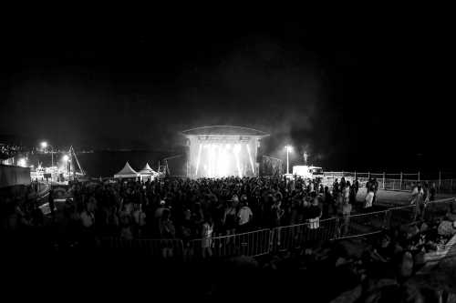 c.o.f.f.i.n yours and owls 2025 09