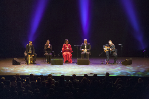 caminos-flamencos-01