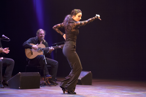 caminos-flamencos-05