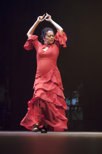 caminos-flamencos-06