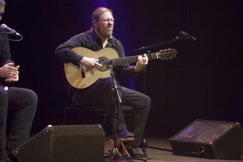 caminos-flamencos-08