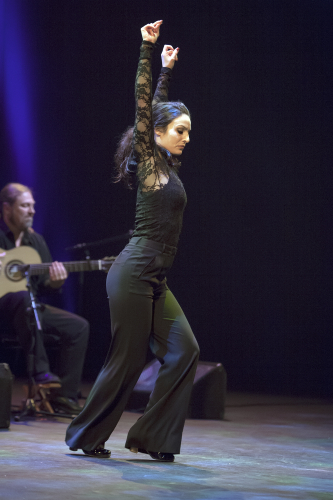 caminos-flamencos-09