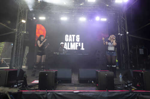 cat and calmell yours and owls 10th birthday party 24 08