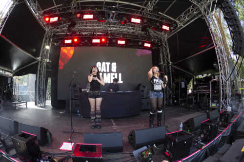 cat and calmell yours and owls 10th birthday party 24 12