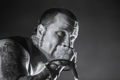 confession sydney soundwave 15 03