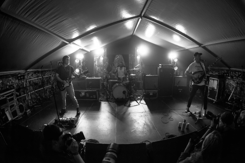 crocodylus yours  owls festival 01