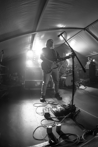 crocodylus yours  owls festival 02