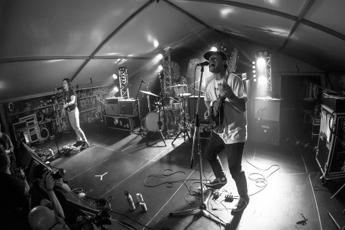 crocodylus yours  owls festival 03