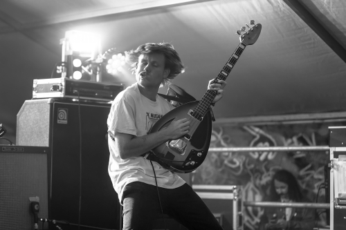 crocodylus yours  owls festival 05