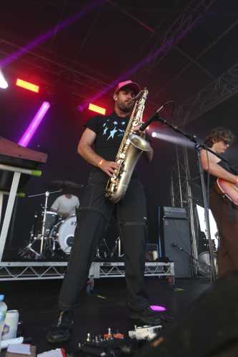 crocodylus yours and owls 2025 02