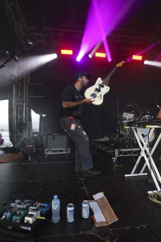 crocodylus yours and owls 2025 04