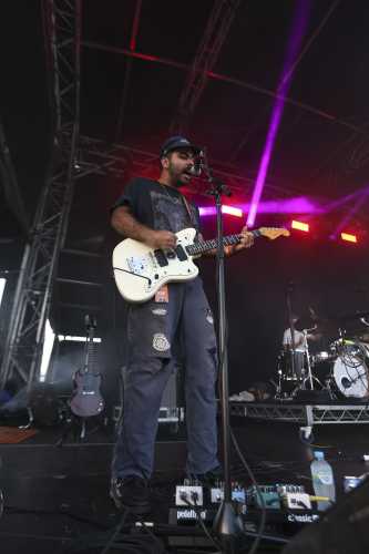 crocodylus yours and owls 2025 05