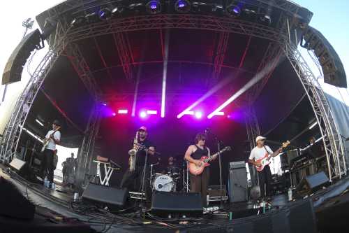 crocodylus yours and owls 2025 06