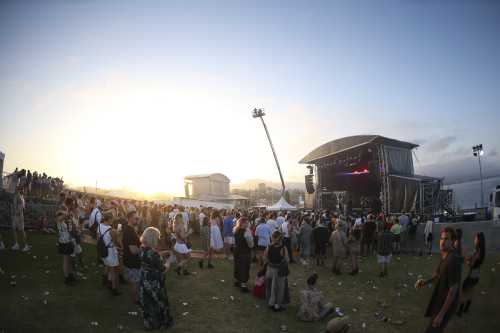 crocodylus yours and owls 2025 08