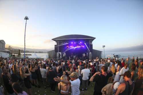 crocodylus yours and owls 2025 09