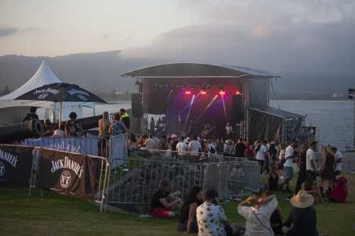 crocodylus yours and owls 2025 10