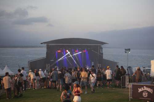 crocodylus yours and owls 2025 11