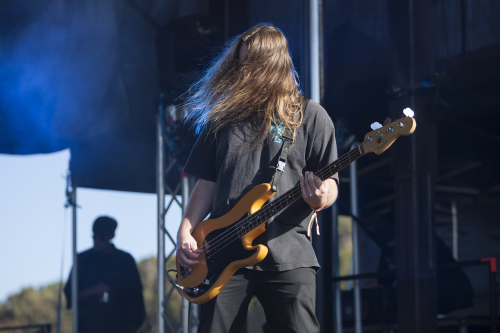 dear seattle yours and owls festival 08