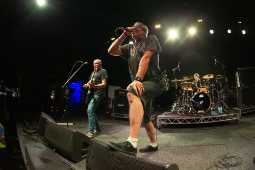 descendents yours and owls festival 2023 12
