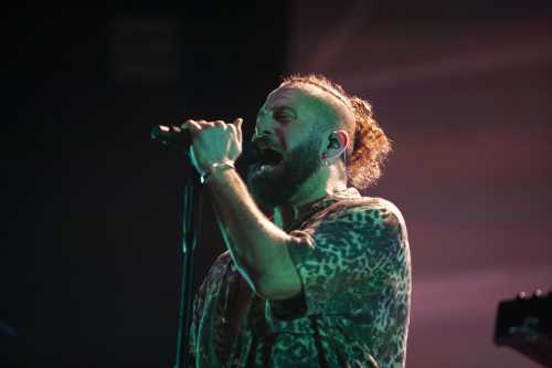 elderbrook yours and owls 2025 01