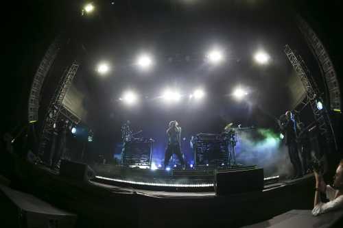 elderbrook yours and owls 2025 04