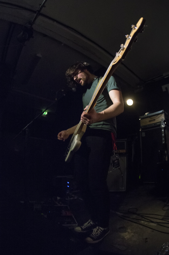 everyday circus hull UK fruit 17