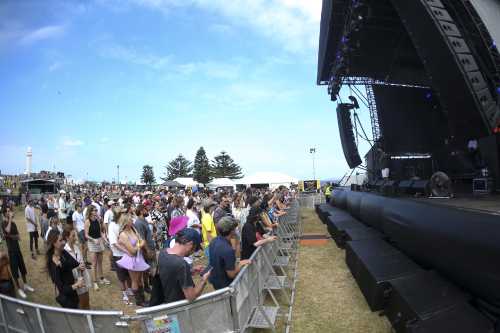 frankie stew  harvey gunn yours and owls 2025 05