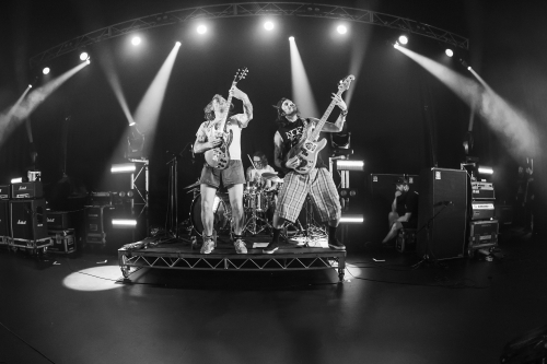 frenzal rhomb spring loaded festival 12