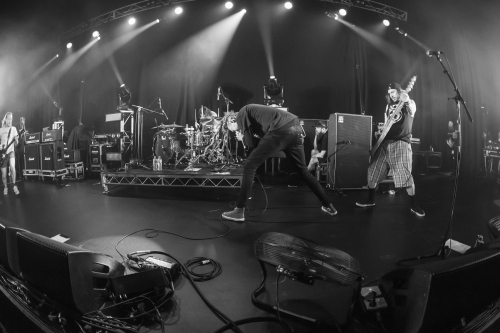 frenzal rhomb spring loaded festival 14